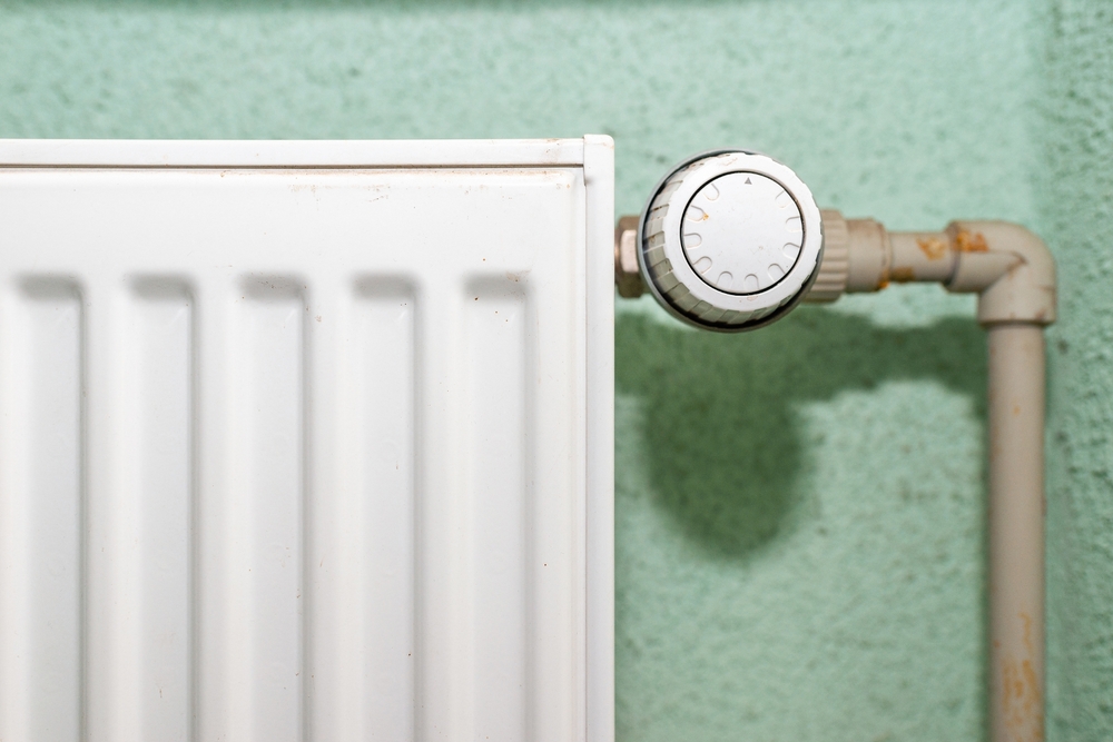 Government announces energy price plan and net zero policy review - Vimarsana News