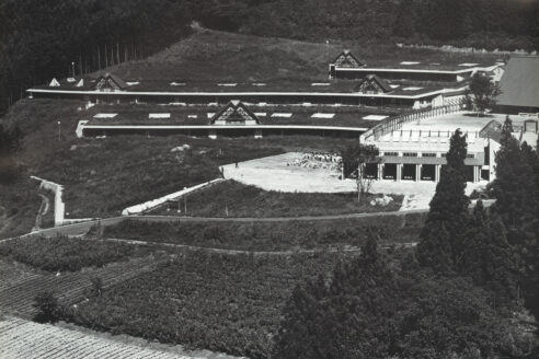 0213 001 edit cropped