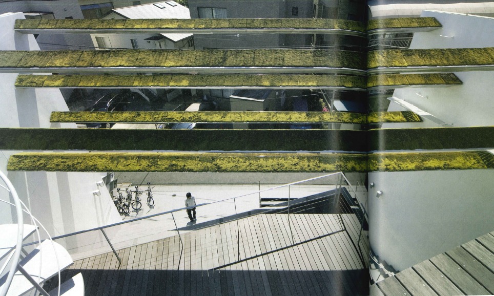 Vegetation Installation Gor Fleg Daikanyama Showroom In Tokyo By Taketo Shimohigoshi Architectural Review