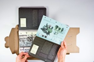 Archipelago Architecture /Archipelago de Arquitectura