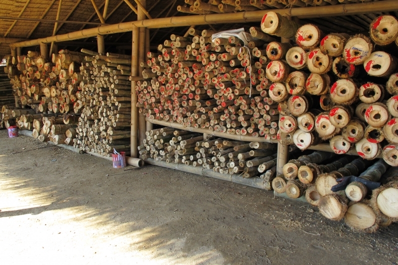 Cane and Able the expressive skill of building with bamboo