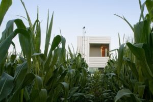 WendellBurnetteFieldHouseIndex