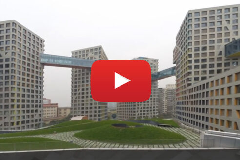 Linked-hybrid-holl-visit