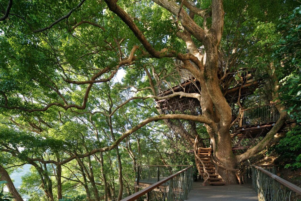 Bird S Nest Atami And Sayama Forest Chapel In Japan By Hiroshi Nakamura Nap
