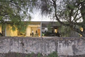 Next Vegetales Office Manuel Cervantes Cespedes 2  1