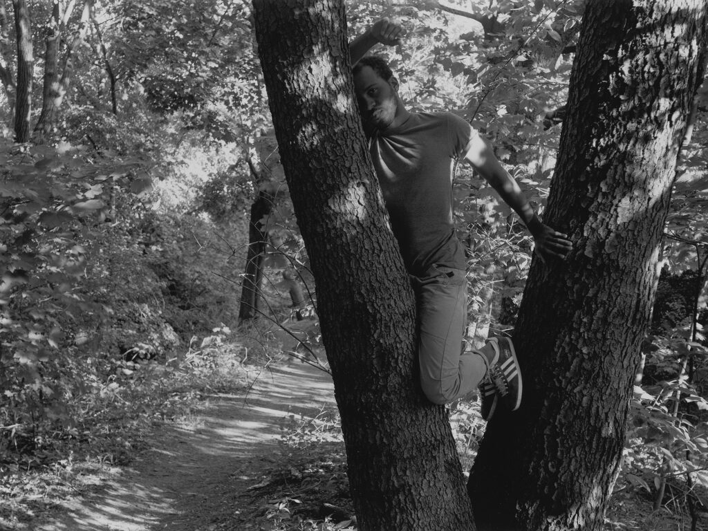 Hanging rock christmas trees woodend