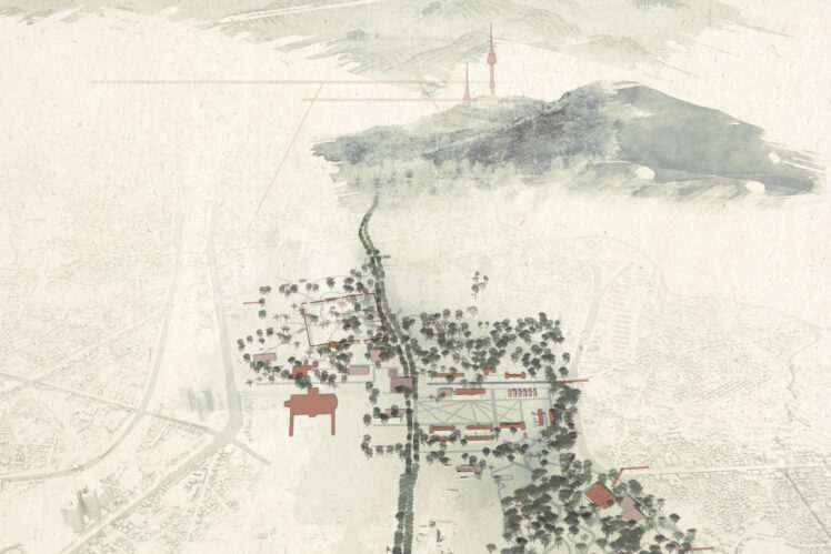 Korean style plan crop