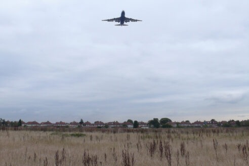 226 089 site 02 cropped