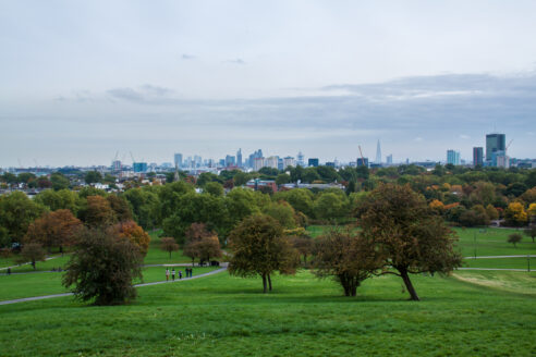 Gettyimages 548232949