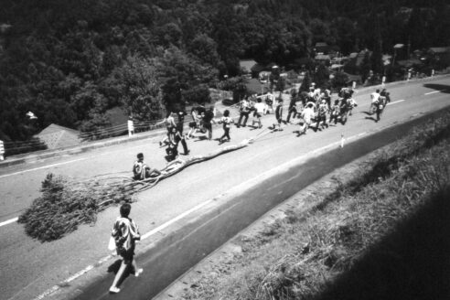 Maple festival 1 edit