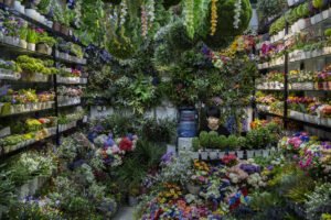 Gettyimages 491744334