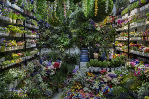 Gettyimages 491744334