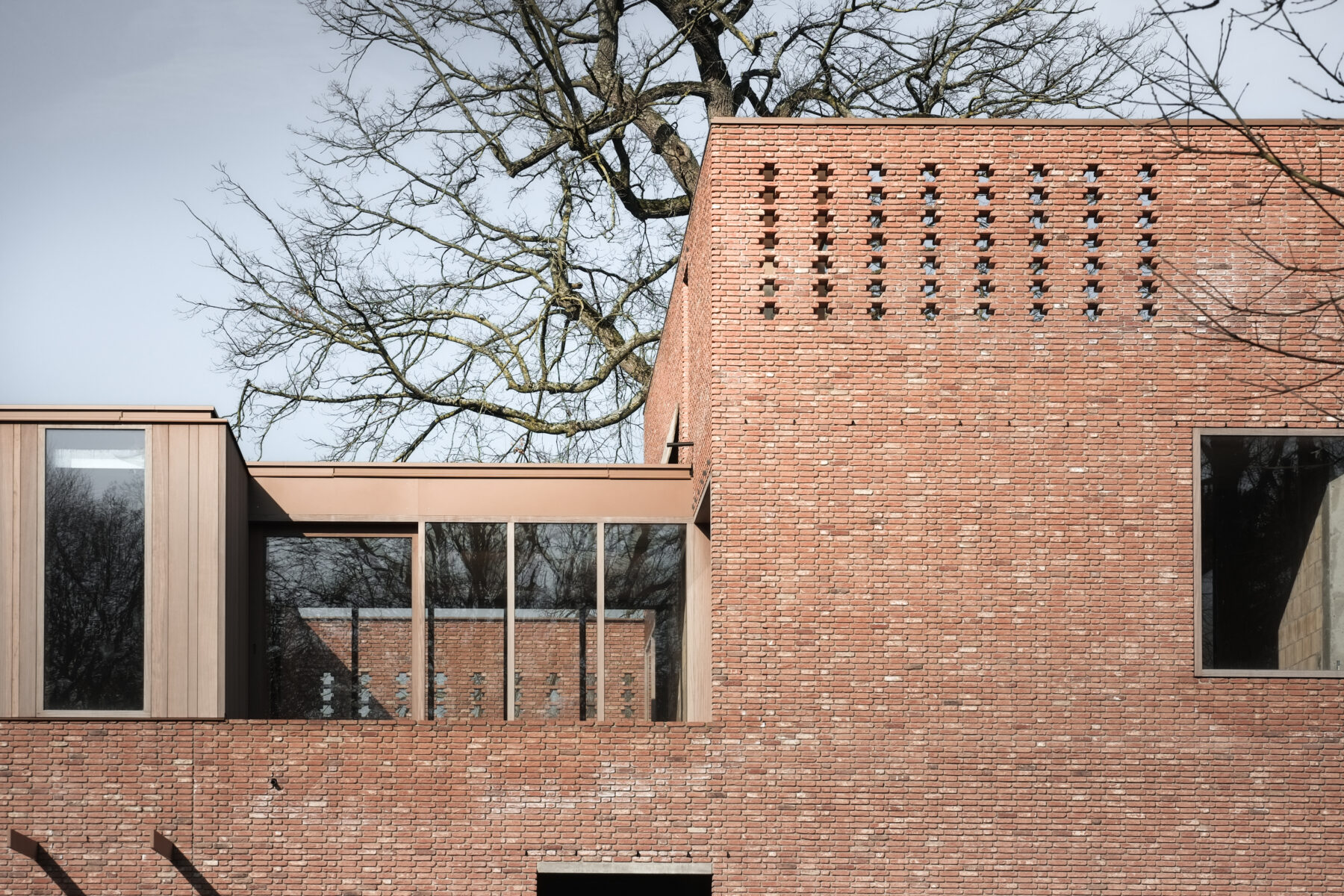 Marie-José Van Hee Marie-José Van Hee: Seeing not Showing – Drawing Matter