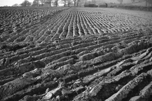 Paul Nash, Tate London 2018