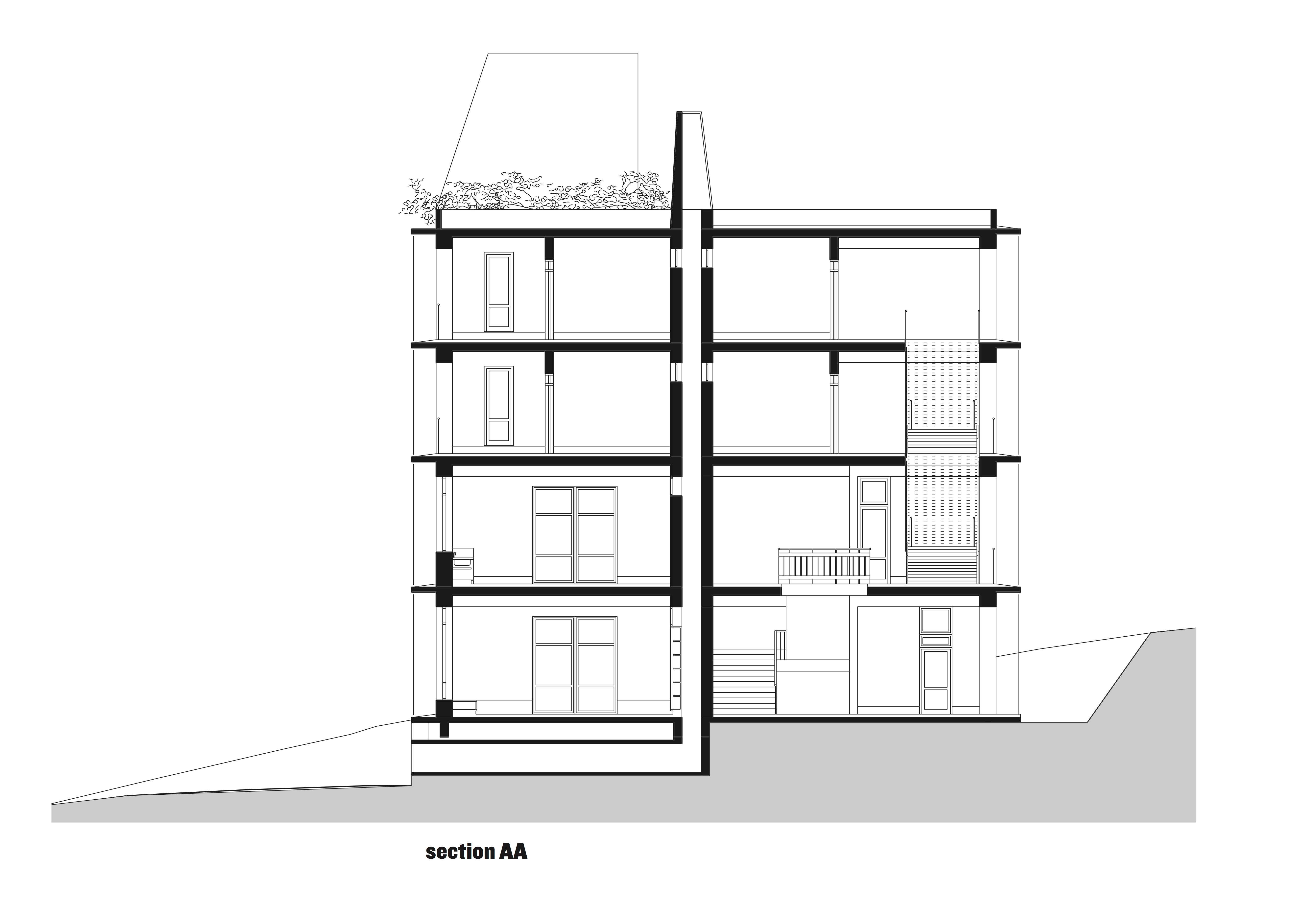 The theory of evolution Avasara Academy, Pune, India, by Case Design