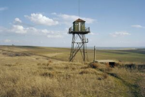 Watch tower veselina nikolaeva