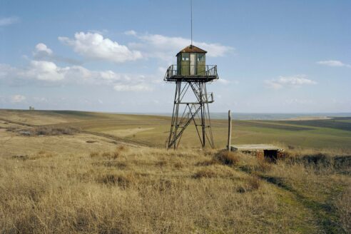 Watch tower veselina nikolaeva