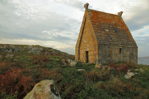 For web aa img 3650 ronan browne