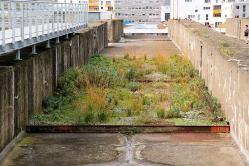 Gilles clement third landscape dominique dubois fallo architectural review