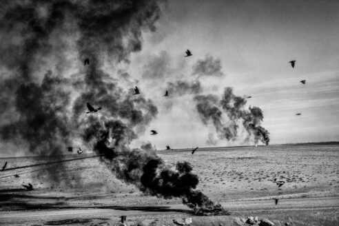 Matt black  2014 fallowed tomato fields corcoran california drought fallow architectural review nn11432828