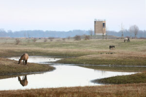 Negenoord observation tower de gouden liniaal architectural review 01