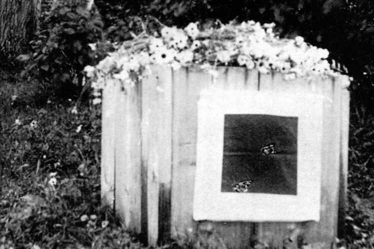 08e5bf121e785026093776dddcca6945 tc index