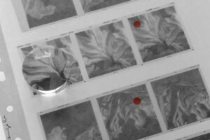 Helene binet last page architectural review