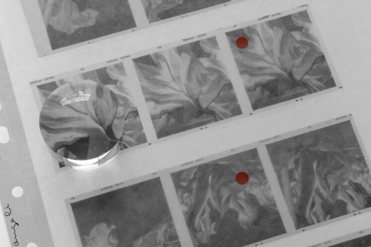 Helene binet last page architectural review