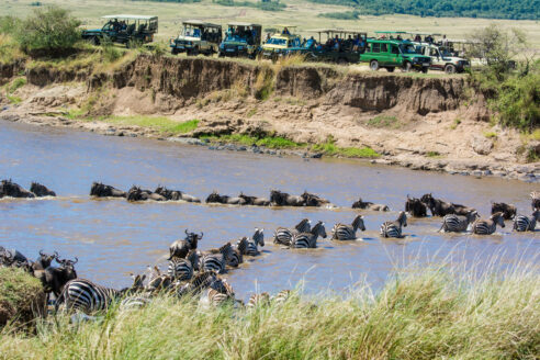 Maria smith eco tourism architectural review