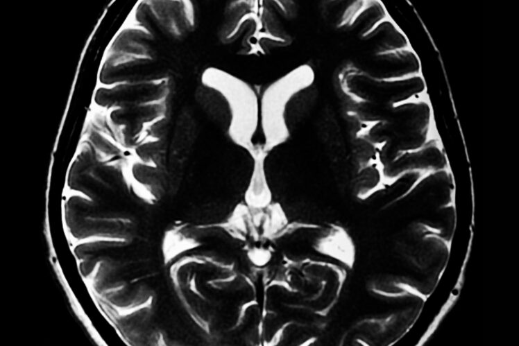 Inside editorial brain architectural review