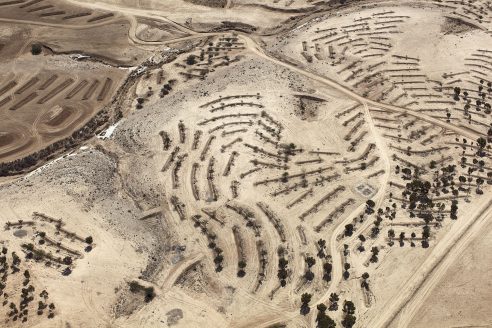 Planting of the God TV Forest on the former land of the Bedouin village of al-Araqib