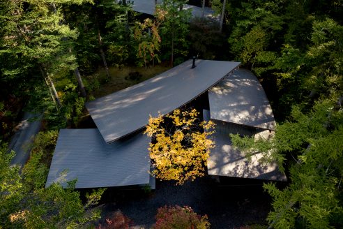 ar-house-kias-four-leaves-architectural-review-martin-holtkamp-1-492x328.jpg