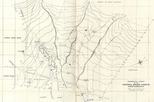 architectural-review-decolonising-kirstenbosch-melanie-boehi-phakamani-mafrika-xaba-1925-map-index-492x328.jpg