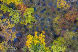 Aerial view of Junya Ishigami's water garden for Art Biotop