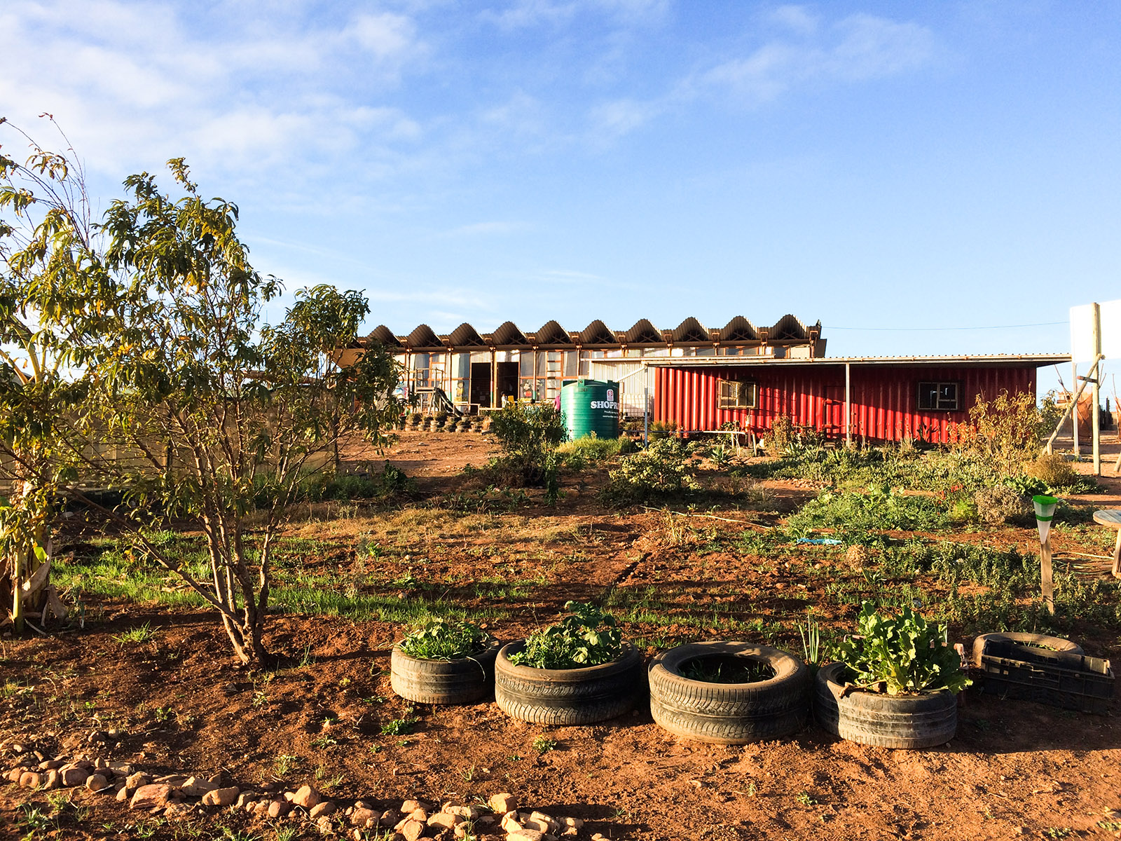 A low building with a wavy corrugated steel roof stands at a distance with a tree and rubber tyres filled with plants in the foreground