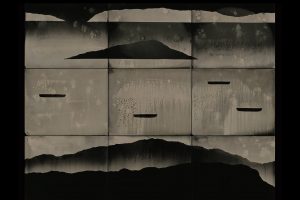 Black and white wet plate collodion photogram by Nadezda Nikolova Kratzer