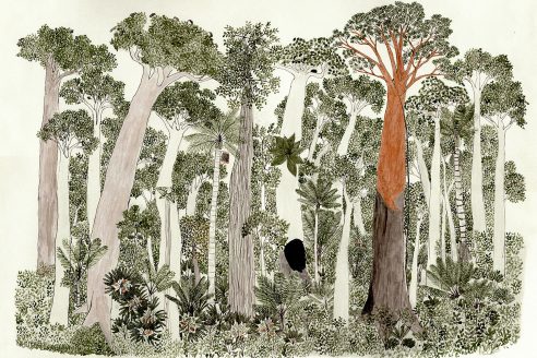 Ciclo anual en las altas terrazas de la selva tropical by Abel Rodríguez, 2007