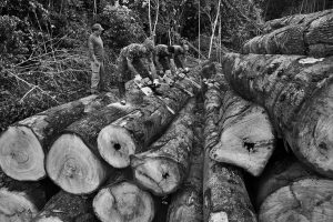 Brazilian army in the Awá reserve village of Juriti by the Caru River State of Maranhão