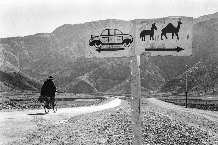 Marc-Riboud-photography-cars-animals-748x499.jpg