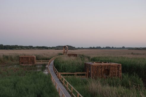 Buffalo barn and viewing pavilions in Sándorfalva, Hungary by Paradigma Ariadné