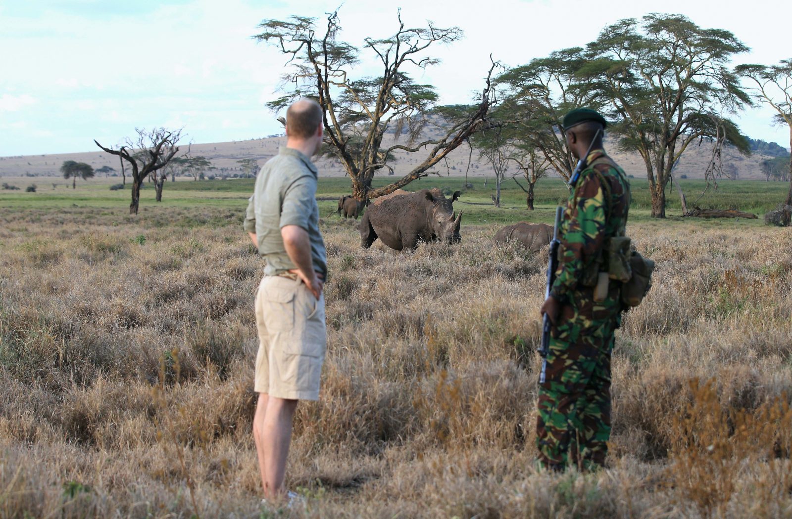 Conservation and capital in Kenya - Architectural Review