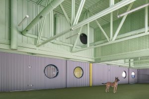 architectural-review-eeestudio-with-lys-villalba-dog-training-school-educan-4-index-300x200.jpg