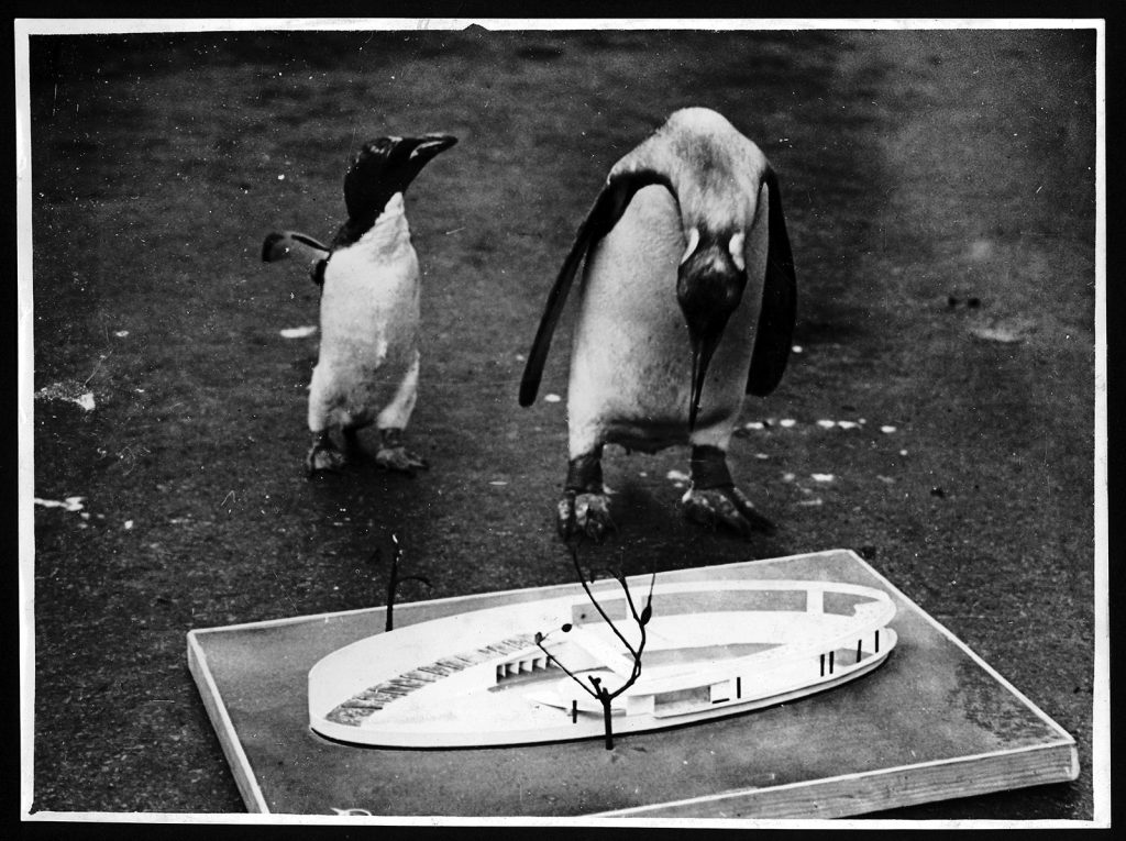 Revisit Penguin Pool in London, UK by Tecton Architectural Review