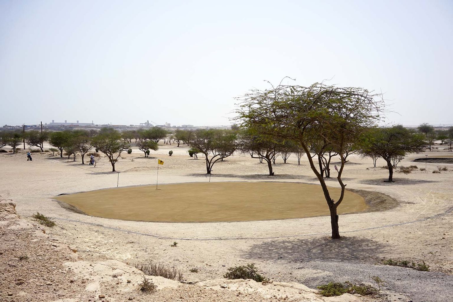 Oil in one sand greens and grass greens in Bahrain Architectural Review