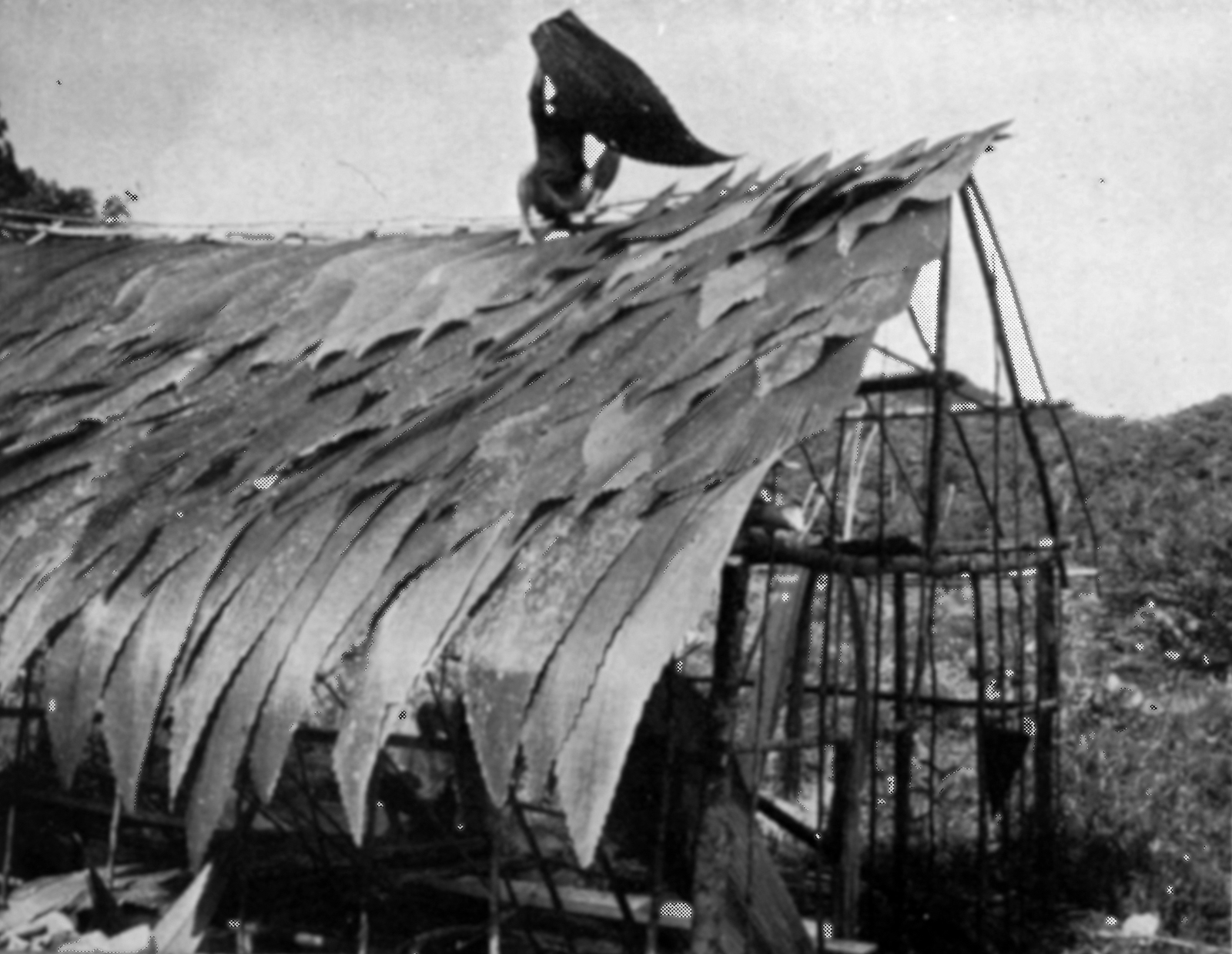 Colonial constructs - Architectural Review