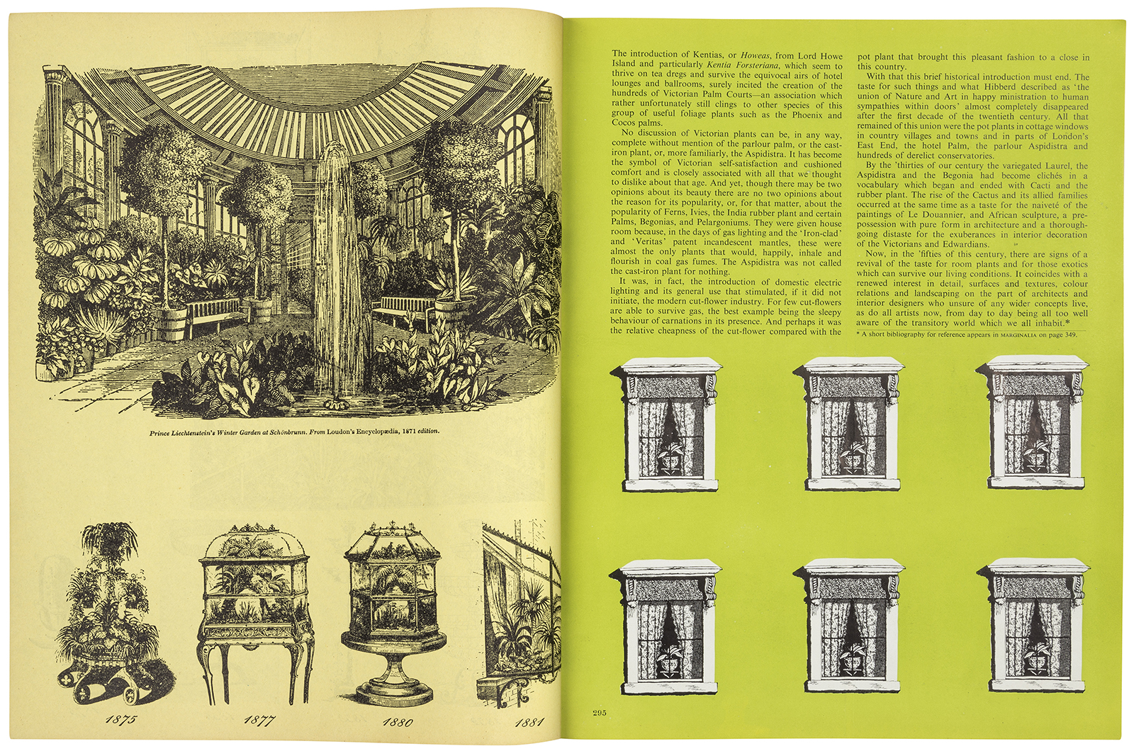 A short history of the origins of the taste for indoor plants