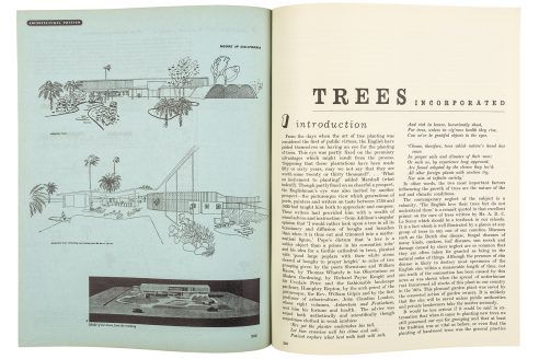 trees-incorporated-in-the-ar-october-1950-issue-architectural-review-copy1-492x328.jpg