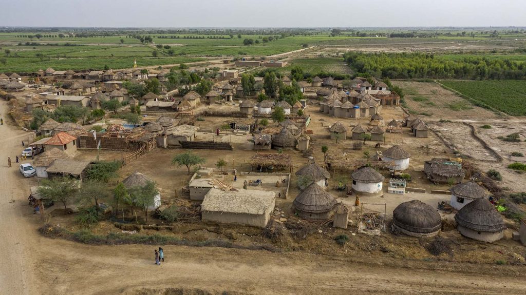 Bamboo rising Lari Octa Green shelters by Yasmeen Lari in Sindh