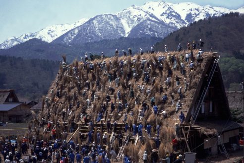 re-thatching-of-gassho-houses-in-japan-architectural-review-492x328.jpg