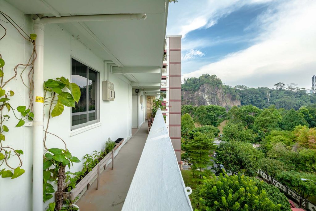 The public housing paradox in Singapore - The Architectural Review